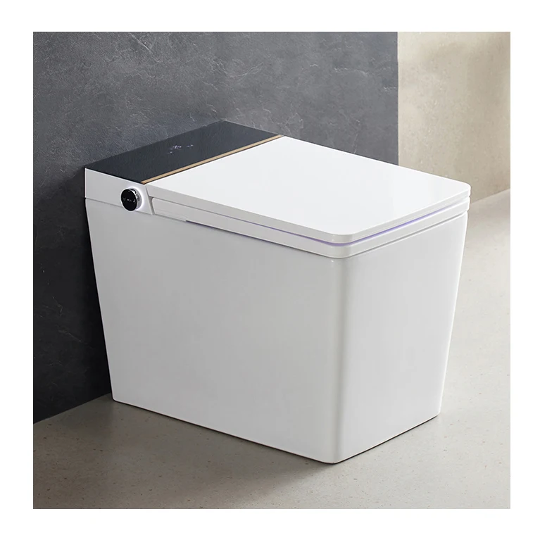 

Floor Mounted Wc Intelligent Toilet Automatic Operation Flush Electric Square Toilet Bathroom Ceramic Smart Toilets