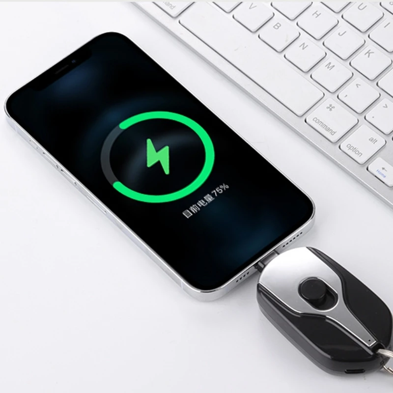 Portable Mini Type-C Power Bank case Keychain Emergency Charger for Type-C Android Smartphone Power Bank case no Battery