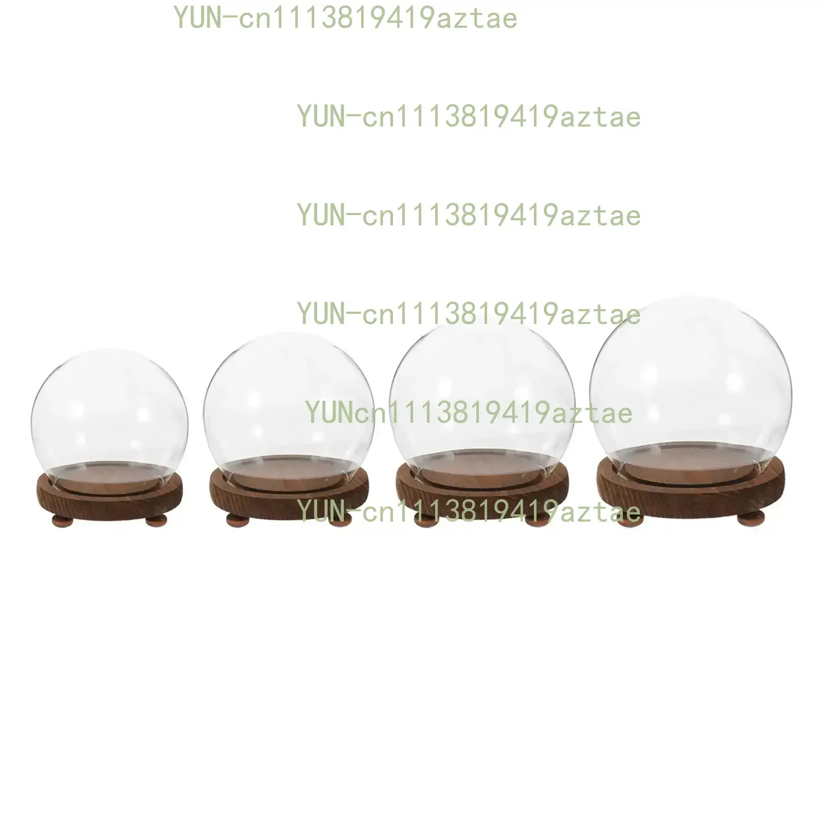 Clear Glass Display Case Wooden Base Plant Flower Container for Christmas Party Favor Decoration Office Tabletop Decoration Home