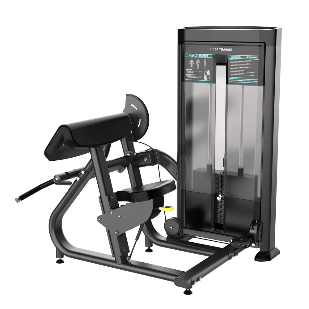 Professional Dual-Function Back Trainer Commercial/Home Gym Double Pull-Back Machine 2025