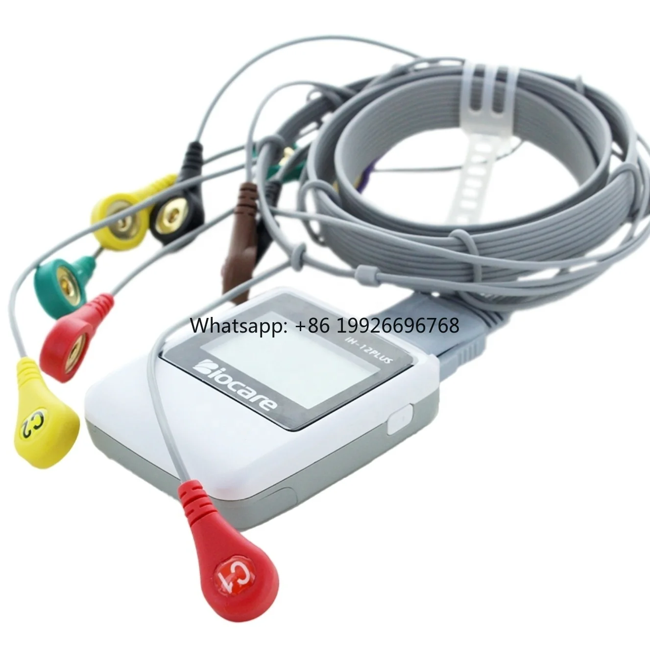 

Fast ShippingDynamic Holter Systems Record Waveform for 72-hour Vet or Human ClinicGood service