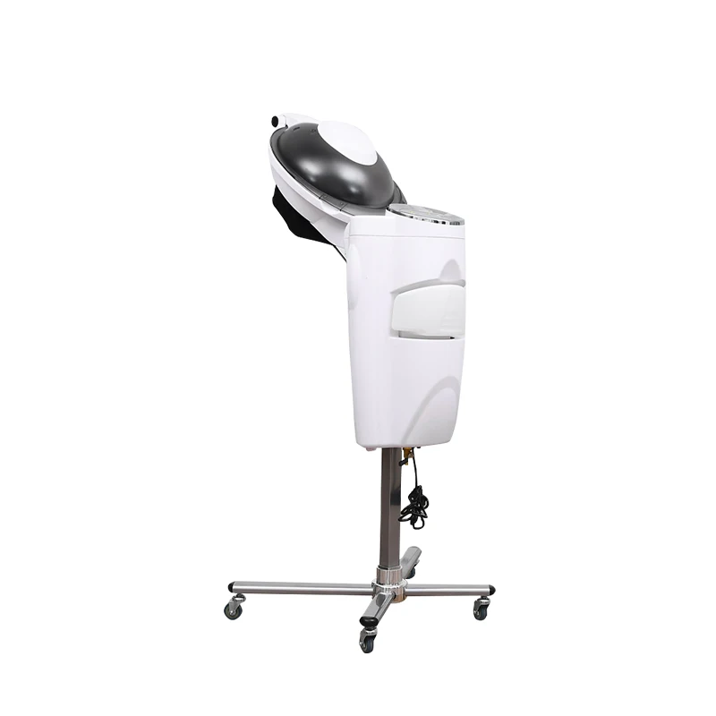 12 Light Micro Mist Hair Steamer, 850W Professional Salon Ozone Steamer, Remote Control Beauty Equipment