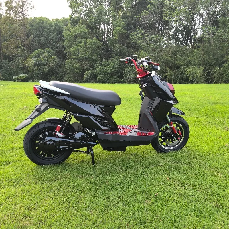 2025 Newest High-Speed 2-Seat Electric Moped Scooter Disc Brake 1000W/1500W/2000W Power 60V Streetbikes Motorcycle For Adults Us