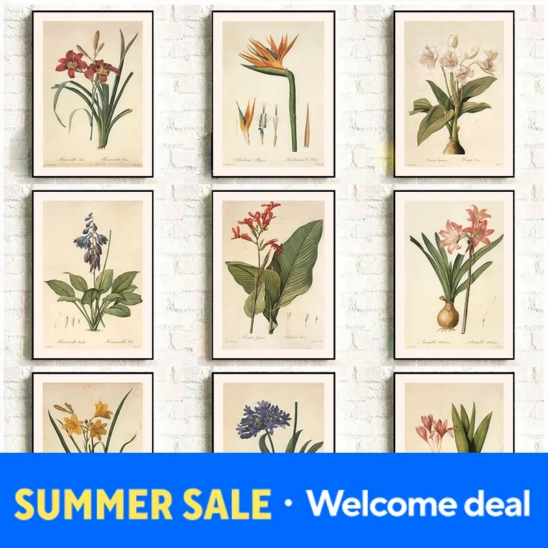 Vintage Classic Rhizome Knowledge Plant Flowers Illustration Poster Canvas Painting Wall Art Pictures Home Room Aesthetic Dec