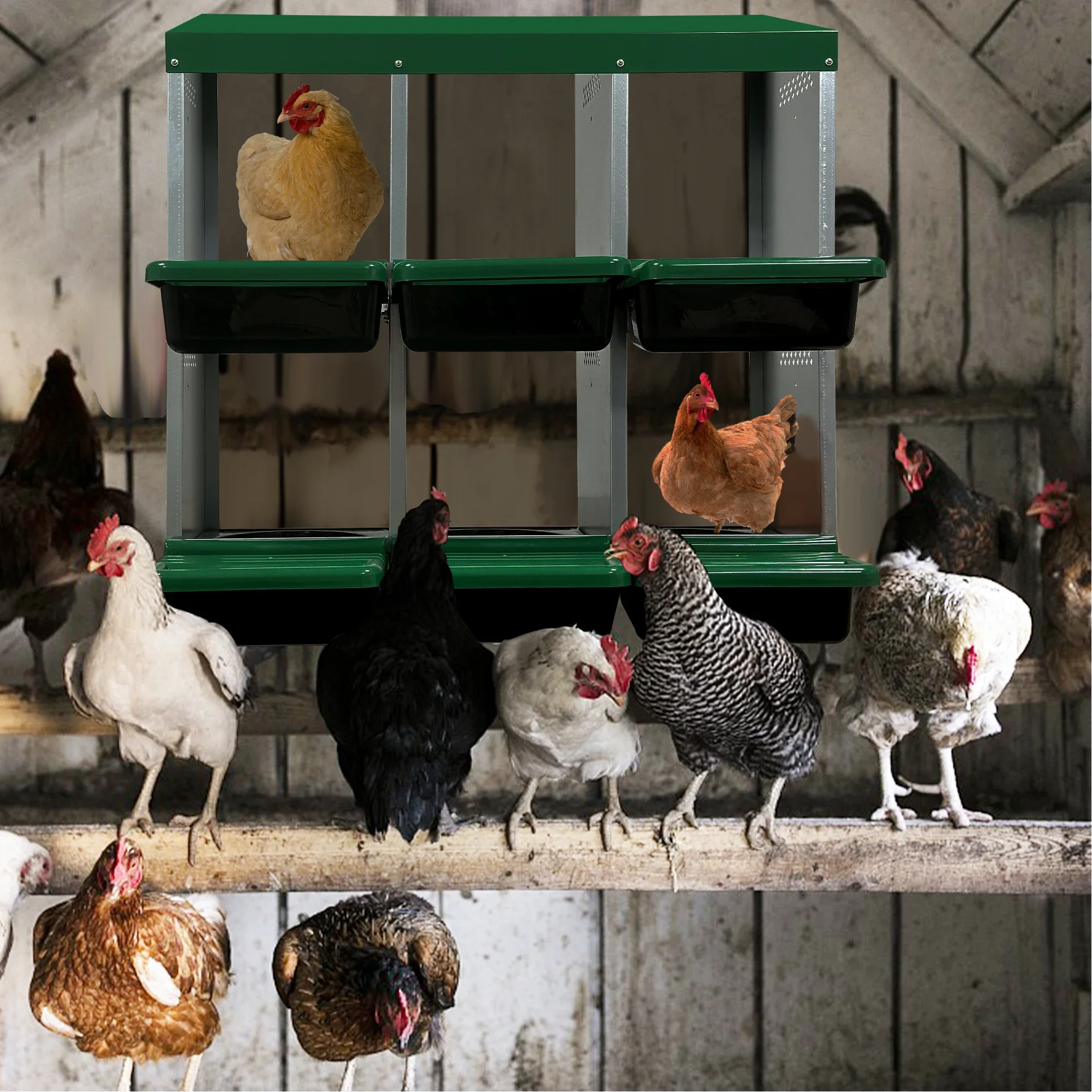 6 Compartment Wall Mount Chicken Nesting Box For Laying Eggs With Removeable Trays