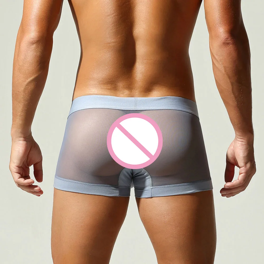 Men Sheer Mesh Underwear Boxers Shorts Breathable Thin Soft Bulge Pouch Low Waist Man Boxer Trunks Undershorts