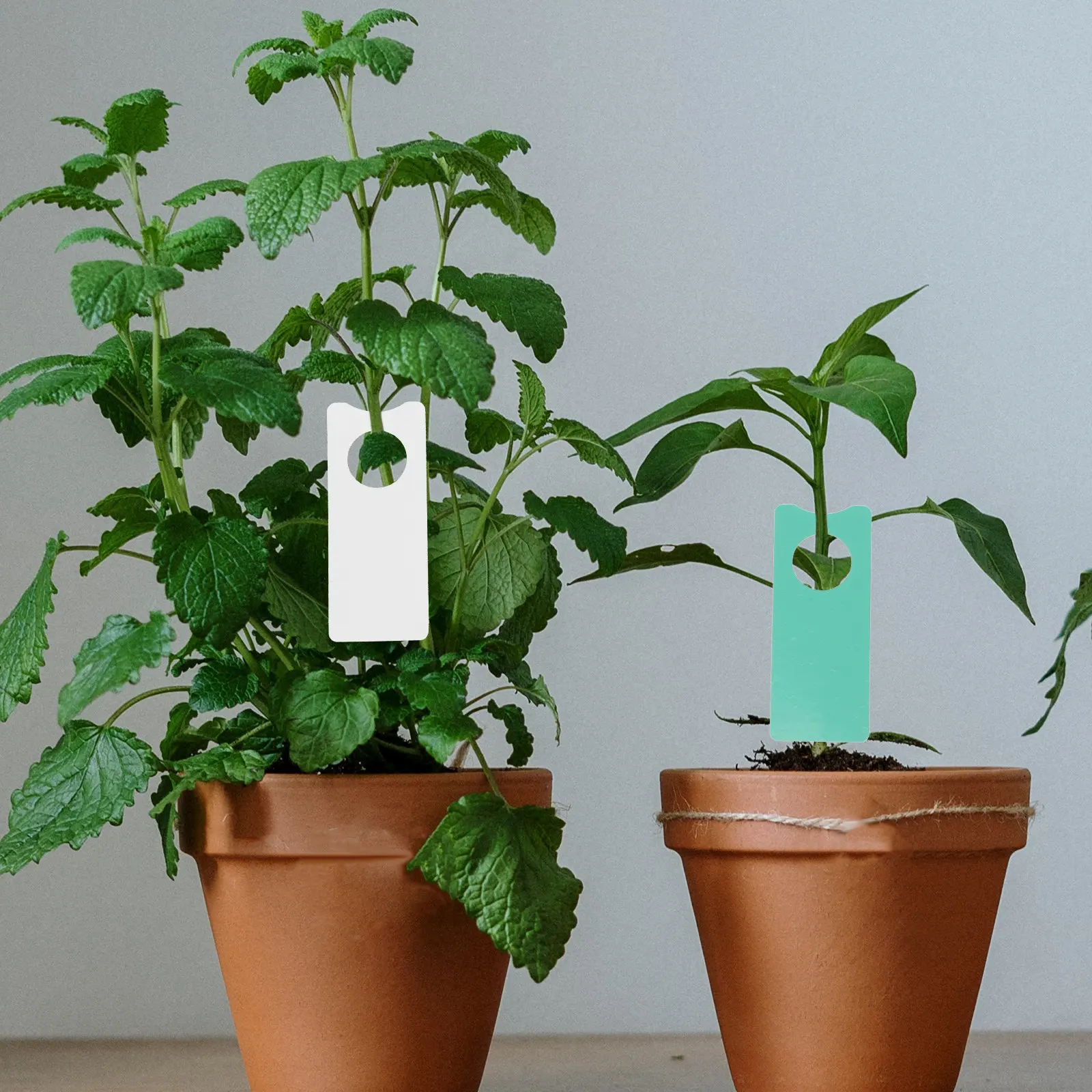 500Pcs Colorful Garden Plant Labels Plastic Hanging Tags for Nursery Landscaping Plant Classification Decoration and