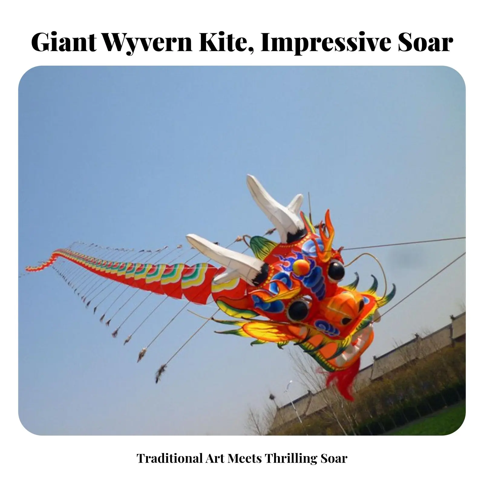 

Large Weifang Wyrm Multi-Segment Kite, Handmade, Adult Outdoor Flying, Handheld Wheel Included