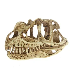 [MGT]-High Precision Ceratosaurus Skull Model, Rex Dinosaur Resin Fossil Skull, Collectibles Model Figure, Aquarium Ornament