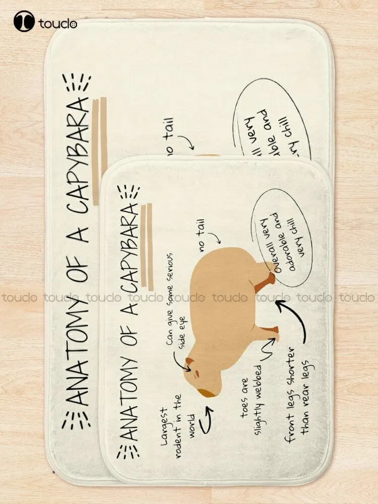 Anatomy Of A Capybara Bath Mat Bathrug For Tub, Shower, And Bath Room Cheap Bath Rug