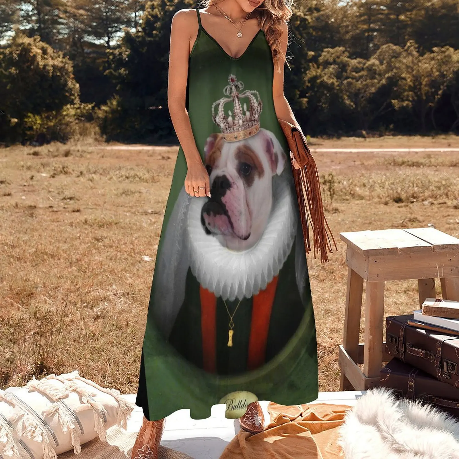 Eglish Bulldog Art - Lucy Bulldog Sleeveless Dress Woman clothing summer dresses women 2025 Prom gown