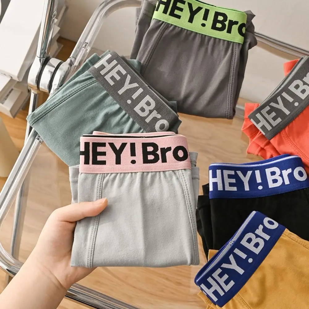 

4PCS Letter Printed Men's Cotton Panties Mid Waist Thin Seamless Underwear for Men Briefs Underpants Male Shorts Boxer Gifts