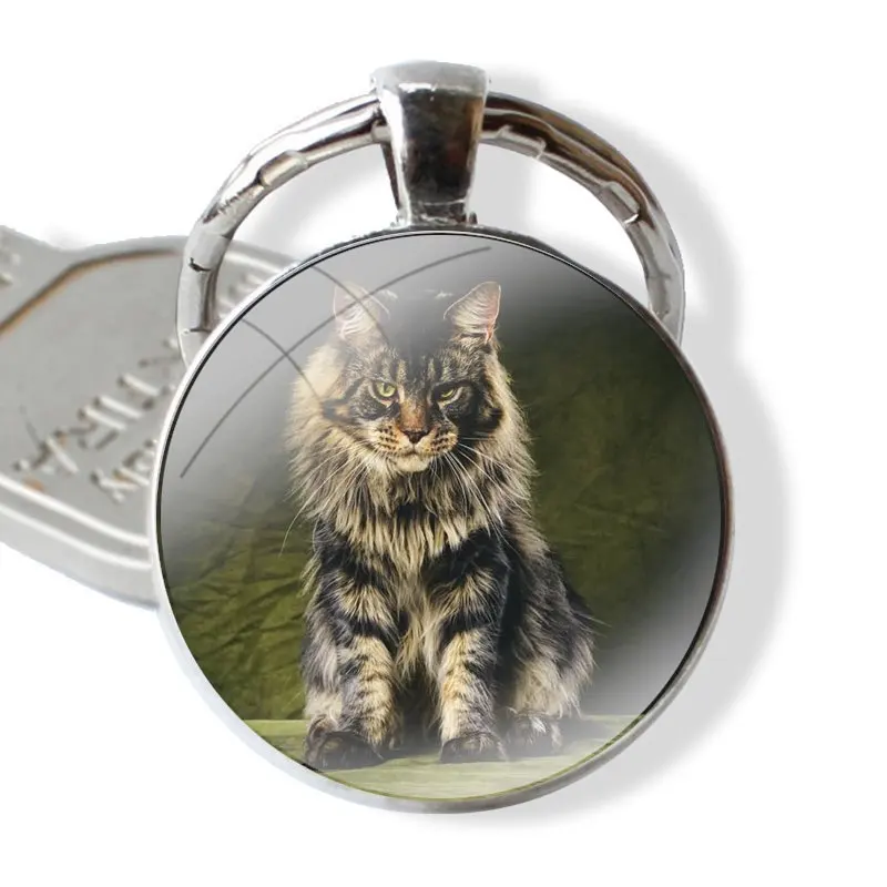 pet maine coon cat Keychain Handmade Glass Cabochon Key Ring Holder Pendant Key Chains