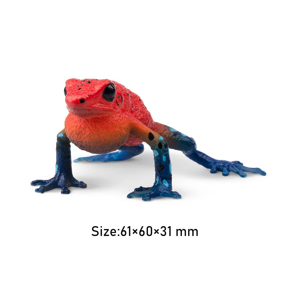 Toymany Simulation Erdbeere Gift-Dart Frosch Reptil Reich Tier Modell Spielzeug Mini Figuren Puppen Action Figuren Spielzeug Kinder