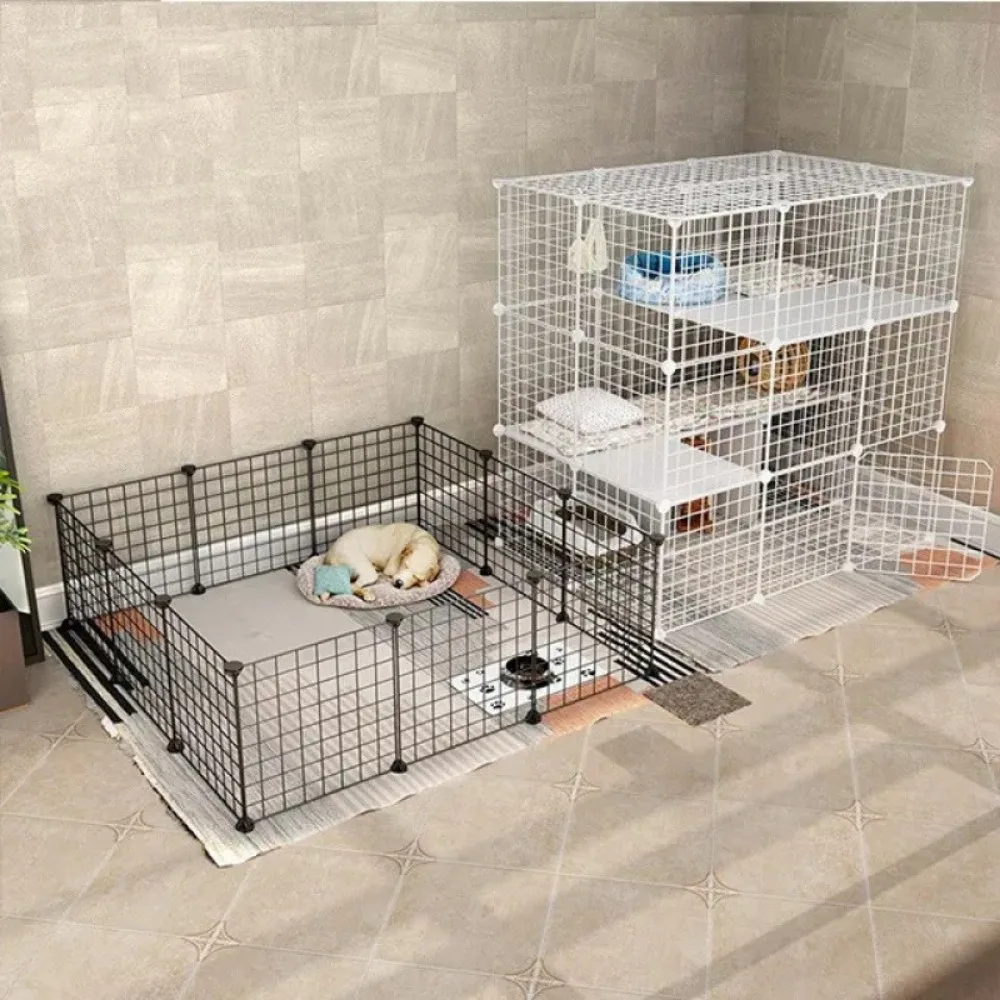 Thumbnail 3 - #86 Cat Doors Comparison Guide