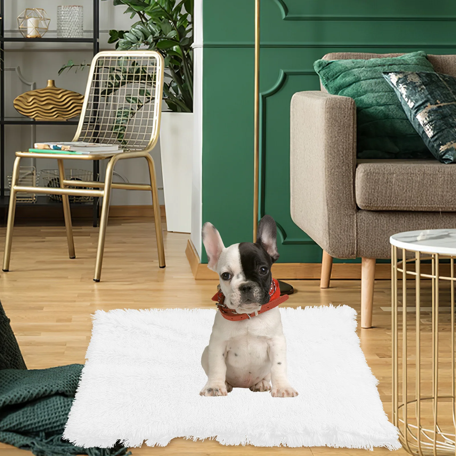 حصيرة بطانية دافئة وناعمة للحيوانات الأليفة للكلاب والقطط، وسادة نوم محمولة مثالية للاستخدام الداخلي والخارجي، راحة مريحة لجميع المواسم