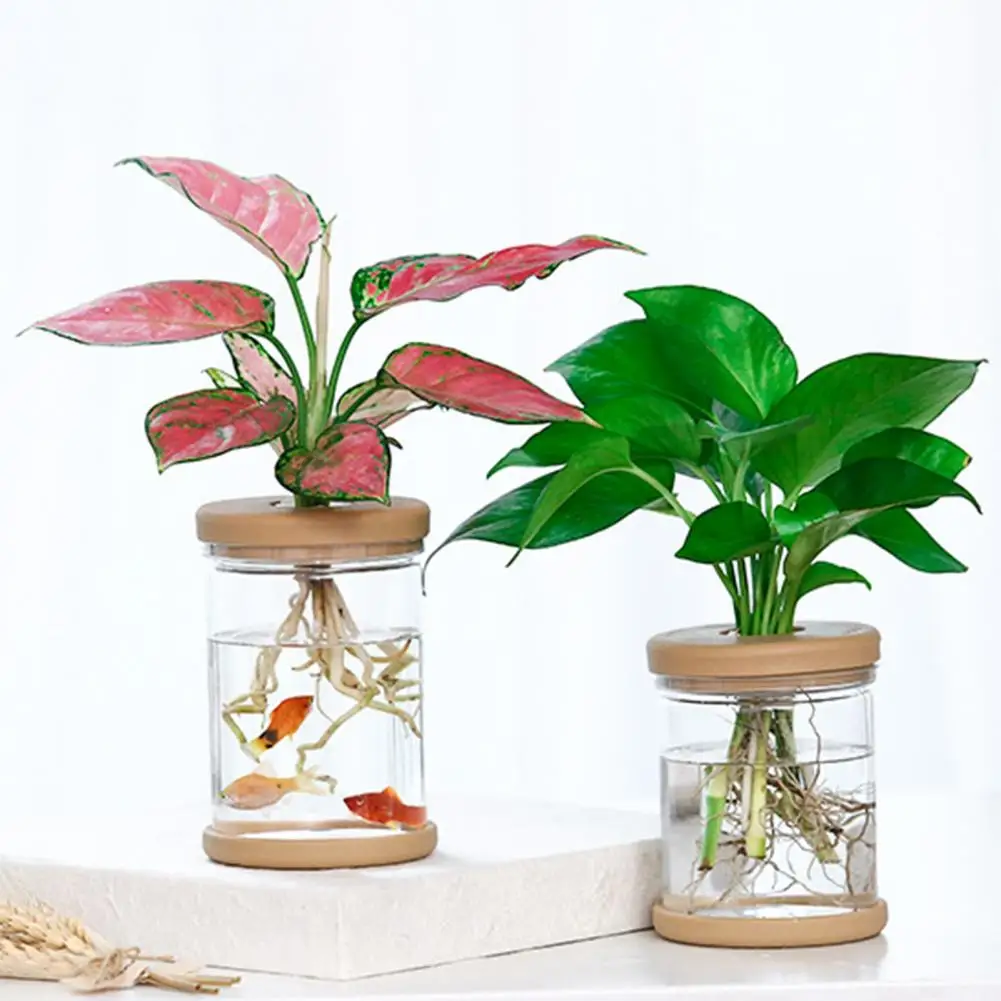 

Mini Hydroponic Flower Pot Home Vase Decor Transparent Imitation Glass Soilless Plant Pots garden pots planters Home Decoration