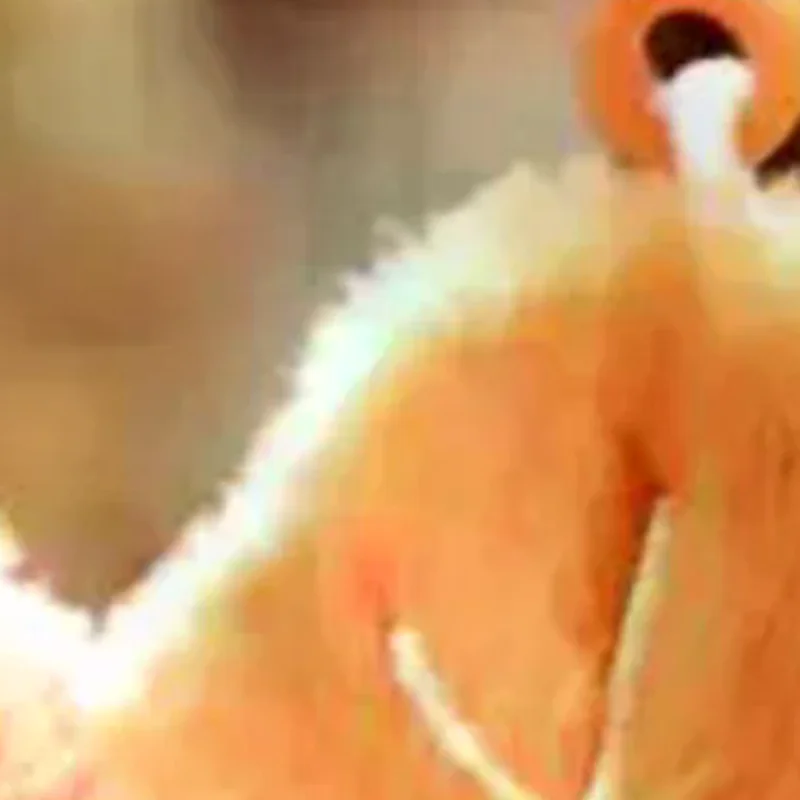 1 قطعة متعة ولطيفة صغيرة مابل ليف أفخم المفاتيح زوجين على ظهره قلادة وهمية ورقة دمية الديكور هدية #1