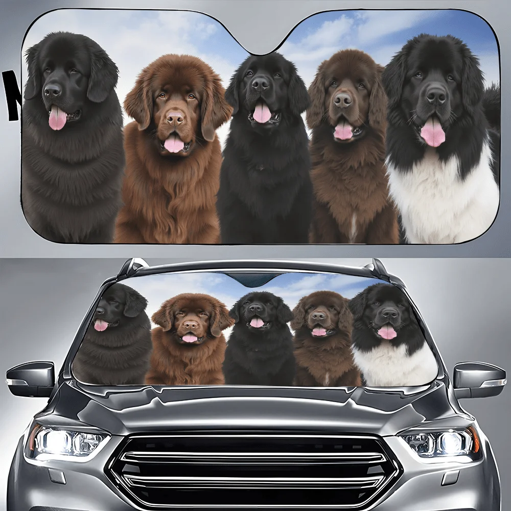 A Collection Of Newfoundland Dogs Positioned Side By Side, Featuring Car Sunshades Designed For The Front Window, Decorative Aut