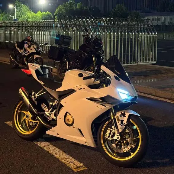 Motorcycle Aerodynamic Side Spoiler Winglet Fairing Kit Racing Fixed Wind Wing Modification Accessories For ZXMOTO 500RR 2025‑20