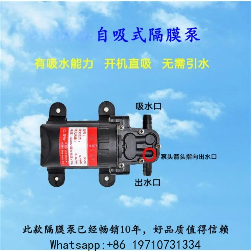 DC Micro Water Pump 12v Self-priming Pump Diaphragm High Pressure Car Wash Booster 220V