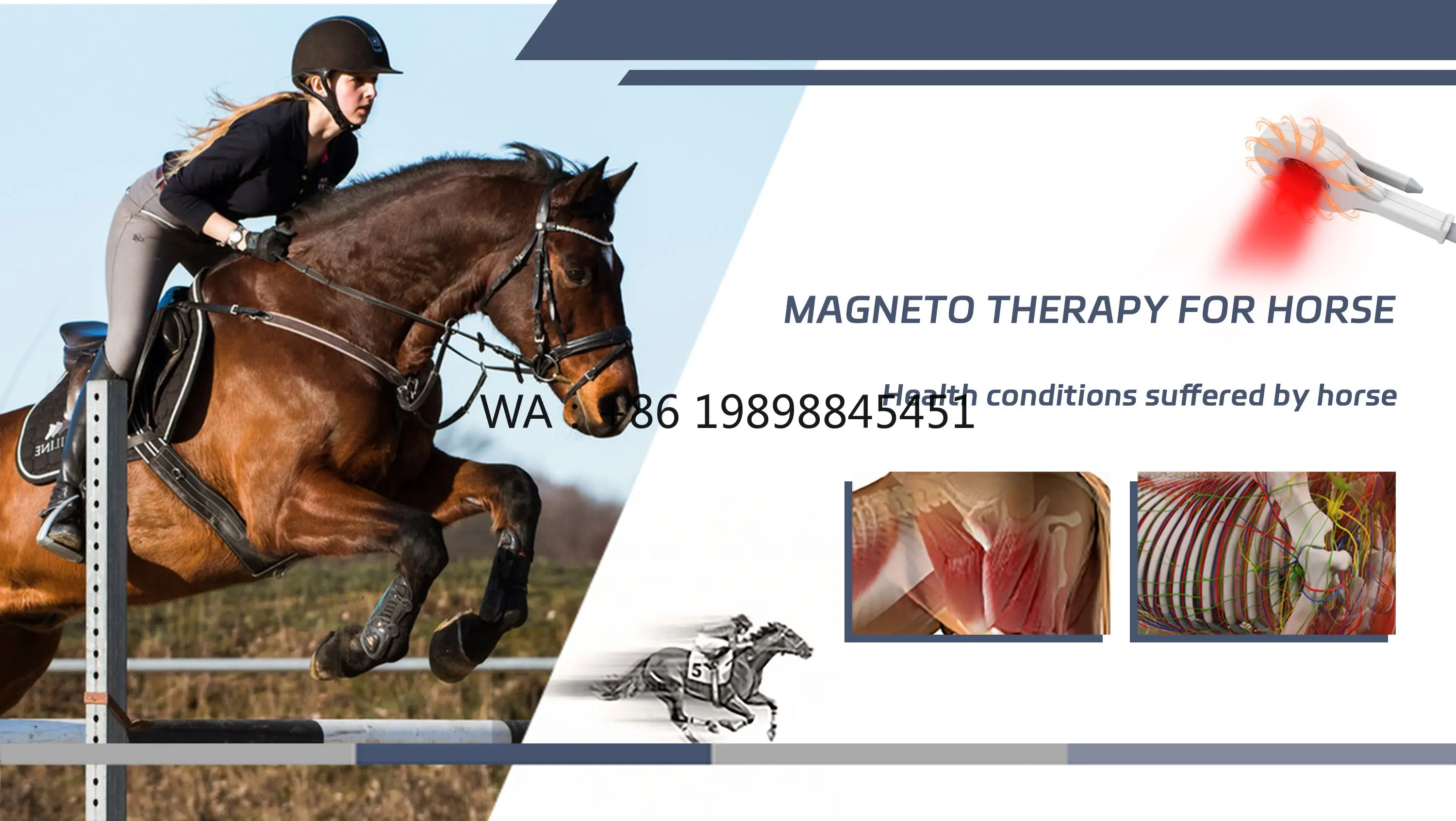Horse Pain Relief-Safe & Reliable Genwave PMST Vet Physical PEMF Magnetic Device with NIRS Red Light for