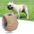 beige S