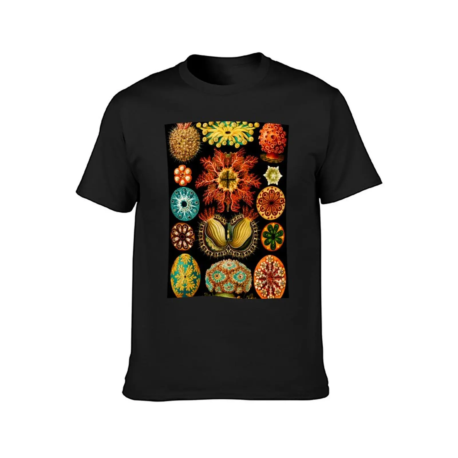 Ascidiae–Seescheiden- sea squirts by Ernst Haeckel T-Shirt cute tops quick-drying Men's cotton t-shirt