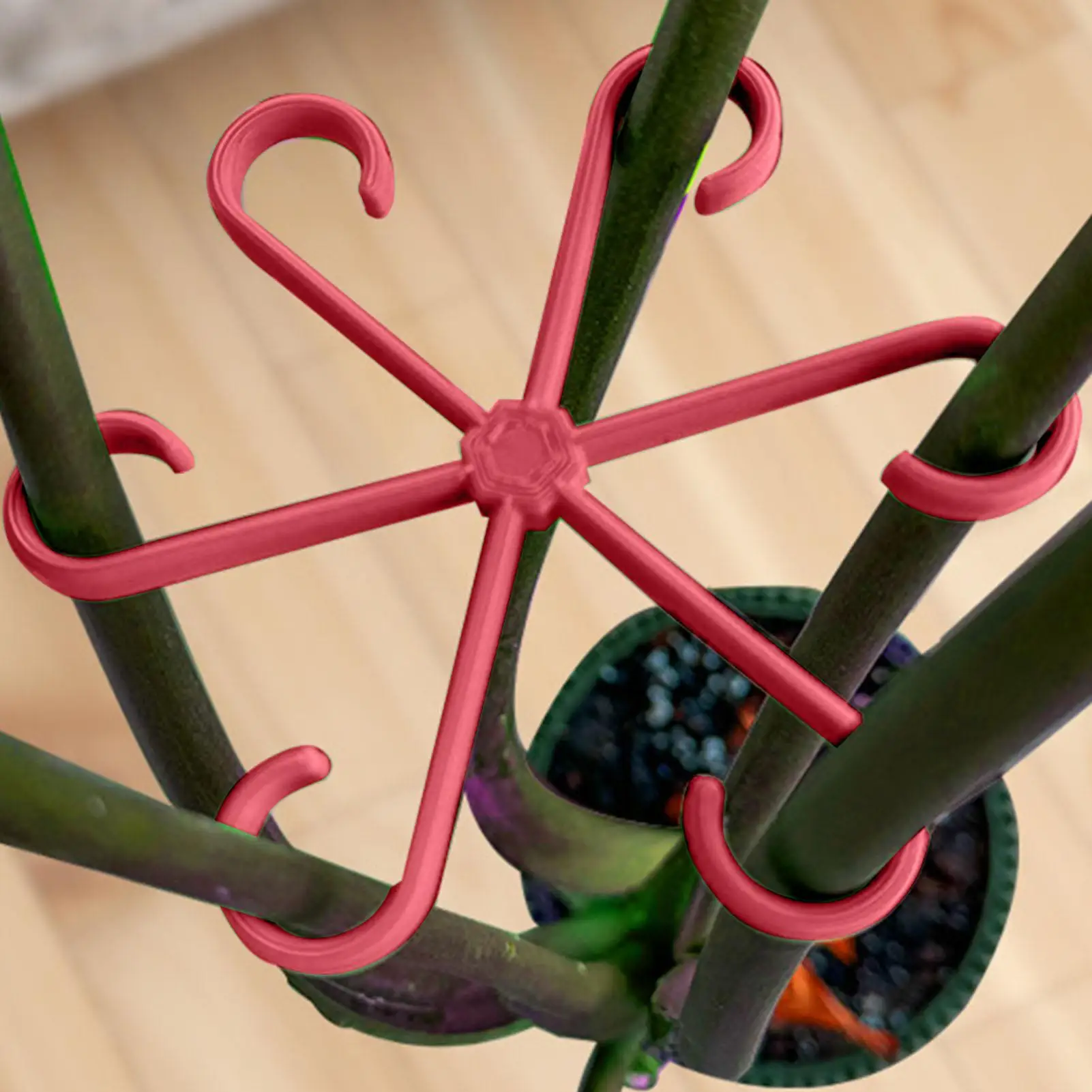 Indoor Plant Support 4 Pieces Climbing Plants Support Alocasia Stem Holder for Indoor Outdoor Garden Balcony Pothos Orchid