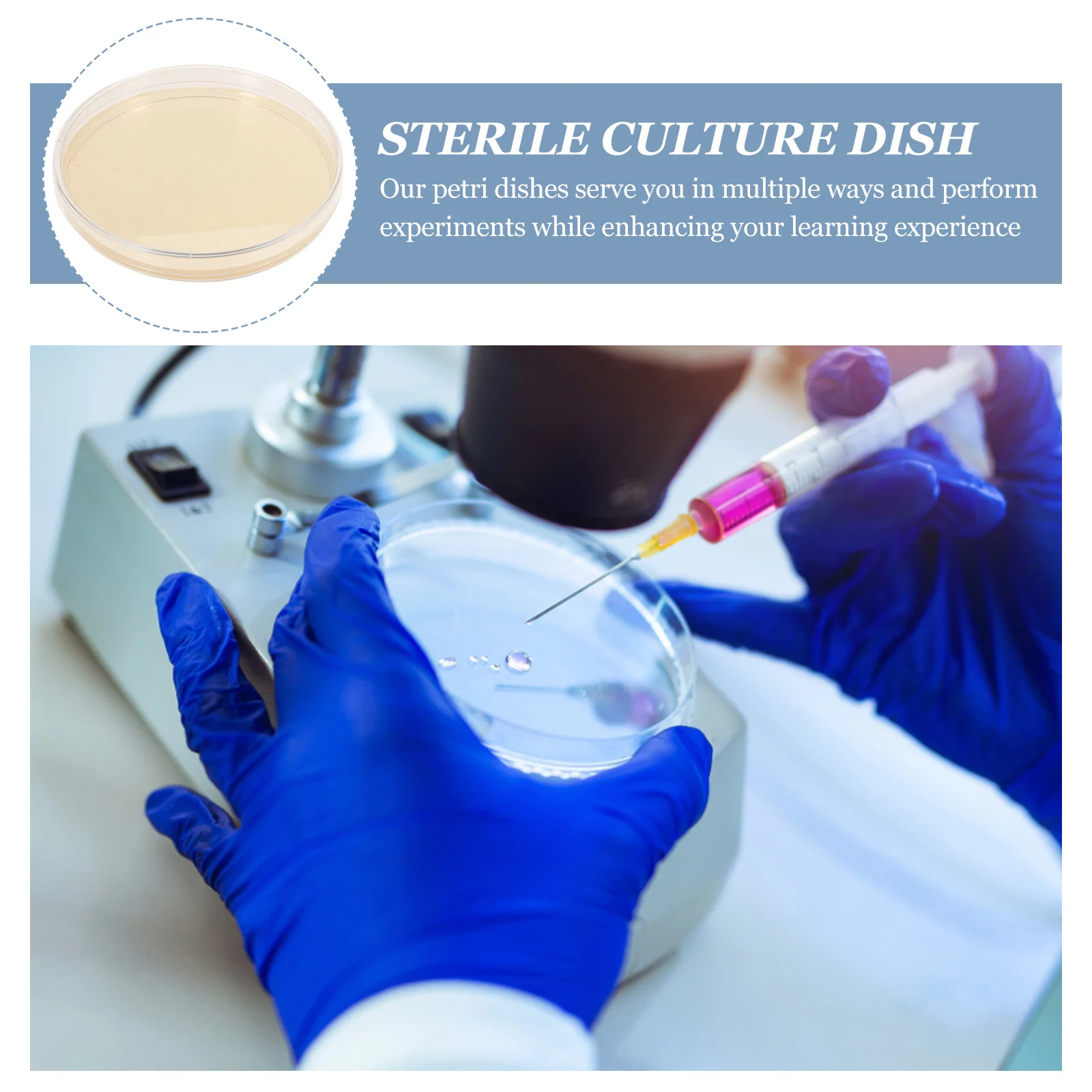 10 Pcs Kits Nutrient Agar Plate Tank Toy Plates for Laboratory Tool Tissue Culture