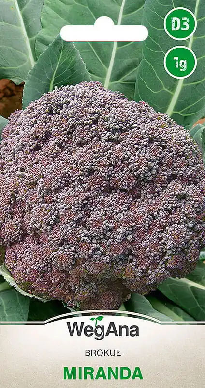 Miranda broccoli 1g vegetable seeds-VegAna