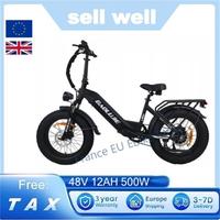 BLJ-DP2003 500w 12ah 7-Gang-Elektrofahrrad 48v 20-Zoll-Fettreifen E-Bike Lithium-Batterie Elektro Fahrrad Mini Dirt Bike