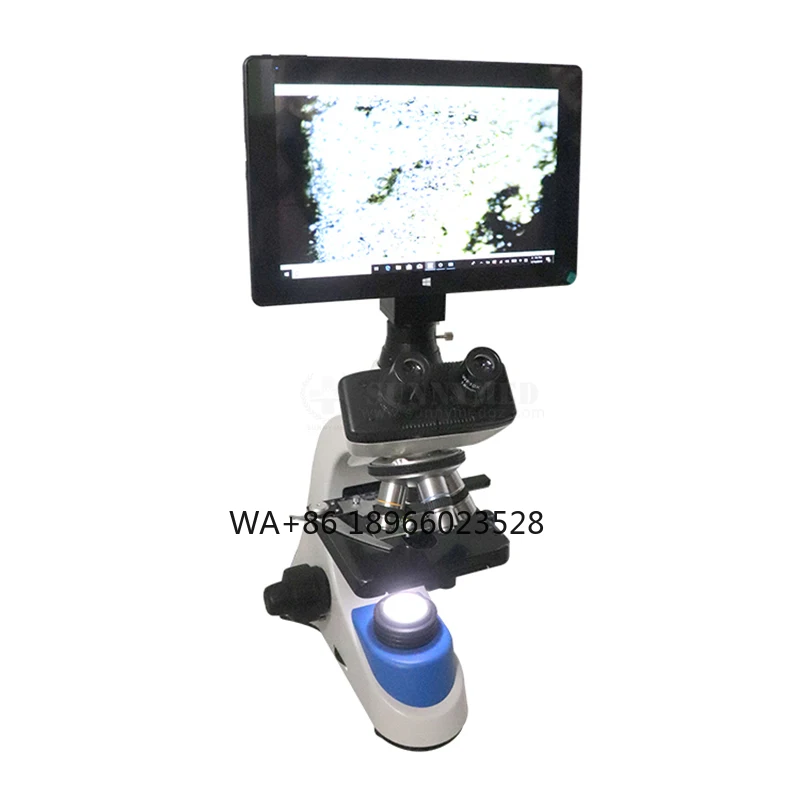 Microscópio biológico binocular de laboratório de preço barato SY-B129F2 com caera de 5 megapixels