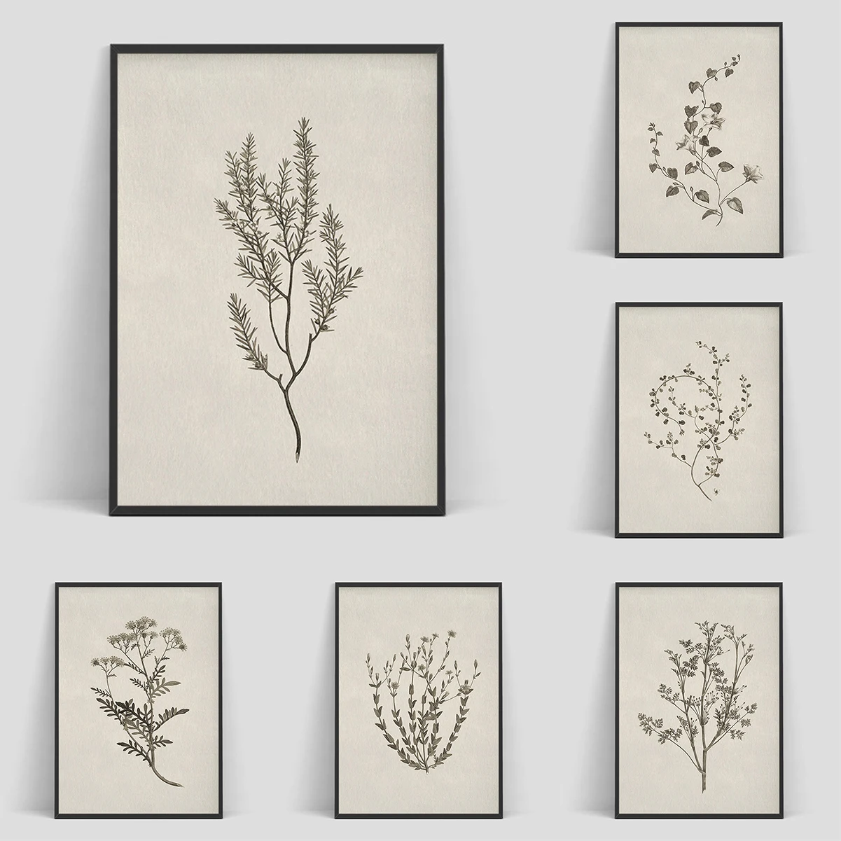 

Vintage Botanical Flower Poster Print Beige Tones Floral Blossom Canvas Painting Wall Art Picture Living Room Home Decor Mural