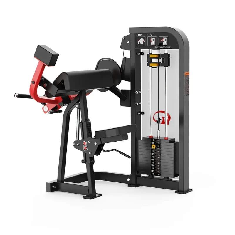

Factory Direct Supply Arm Training Equip Gym Fitness Biceps Exercise Machine
