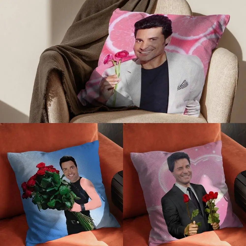 

C-Chayanne Chiquito M-Meme Pillow Case Pillowcase For Car Pillows 60x60 Cushions Luxury Double Sided Cover Home And Decoration