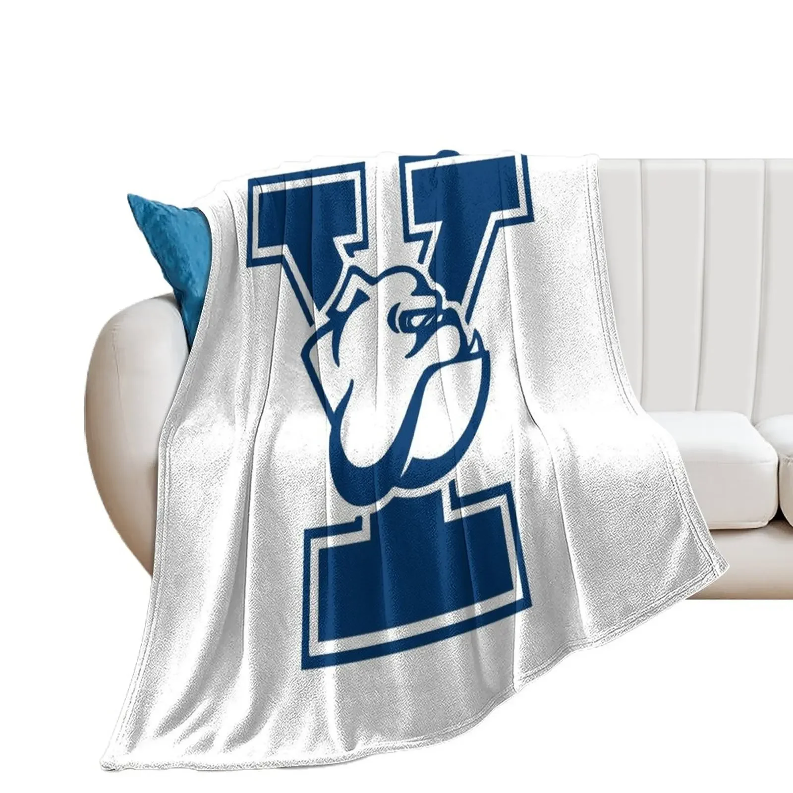 Jogue Cobertor para Sofás, Bonito, Dan