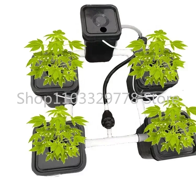 Sistema aeropónico automático para jardín e invernadero, 5 cubos para cultivo hidropónico, DWC Rdwc