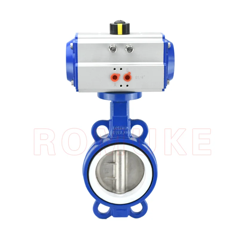 Ductile Iron Ptfe W…