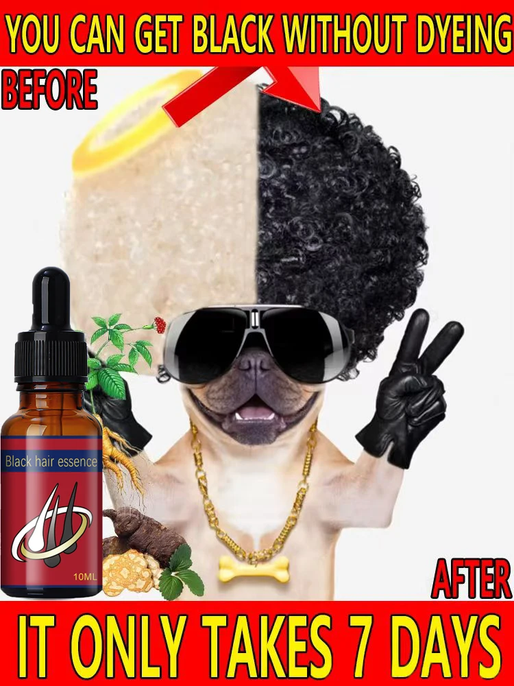 Asie meilleur extrait de plante pure et naturelle pour enlever les cheveux gris et les transformer des racines en cheveux noirs