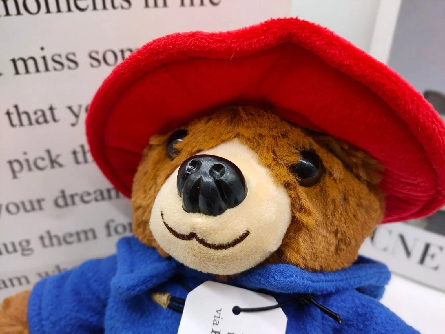 Britain Paddington Bear plush dolls Kawaii Small Bear Stuffed Dolls High Quality Children Christmas Birthday Gifts 29cm