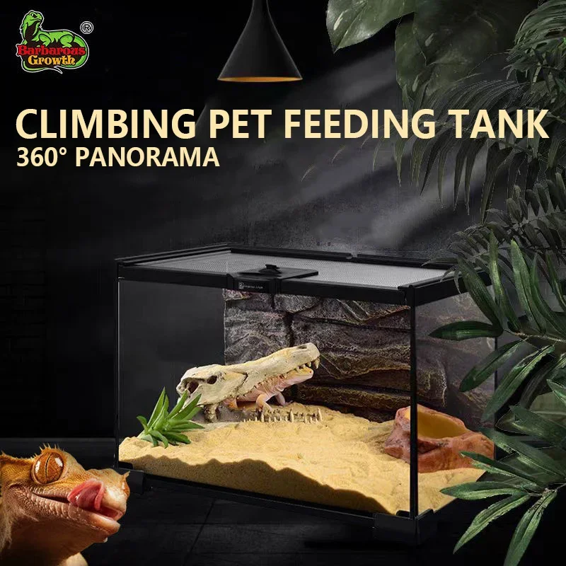 

Gecko Lizard Horned Frog Insect Matching Breeding Box Transparent Ecological Tank Reptile Breeding Box Glass Rainforest Tank