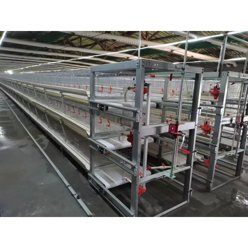 Automatic Layer Chicken Feeding System New Condition Poultry Farming House Equipment