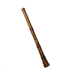 Bamboo Short Xiao Flute Musical Instrument Professional Portable Xiao 8 Hole Nan Xiao  Flute G/F key