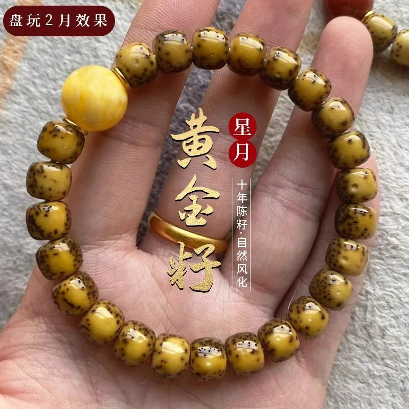 High Density Golden Seed Star Moon Bodhi Bead Single Strand Buddhist Prayer Bracelet For Men And Women Lucky Fortune Blessing