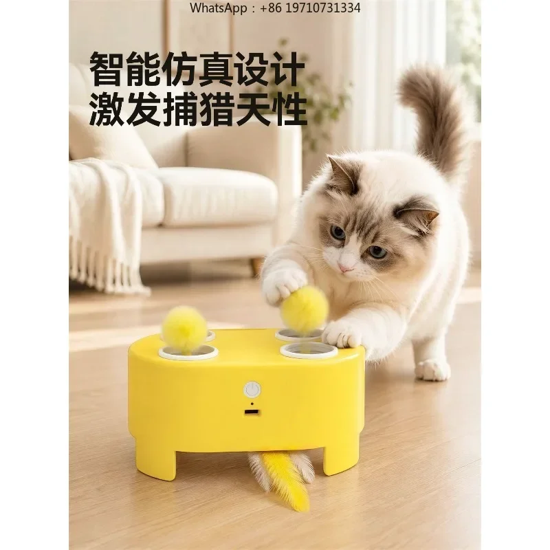 Cat Toy Multi-functional Whack-a-mole Toy Up and Down Feather Cat Teaser