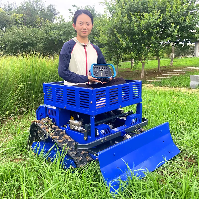 맞춤형 소형 로봇 잔디깎이, 보관대 포함, 550mm 절단 폭, 원격 제어 트랙 타입 잔디깎이