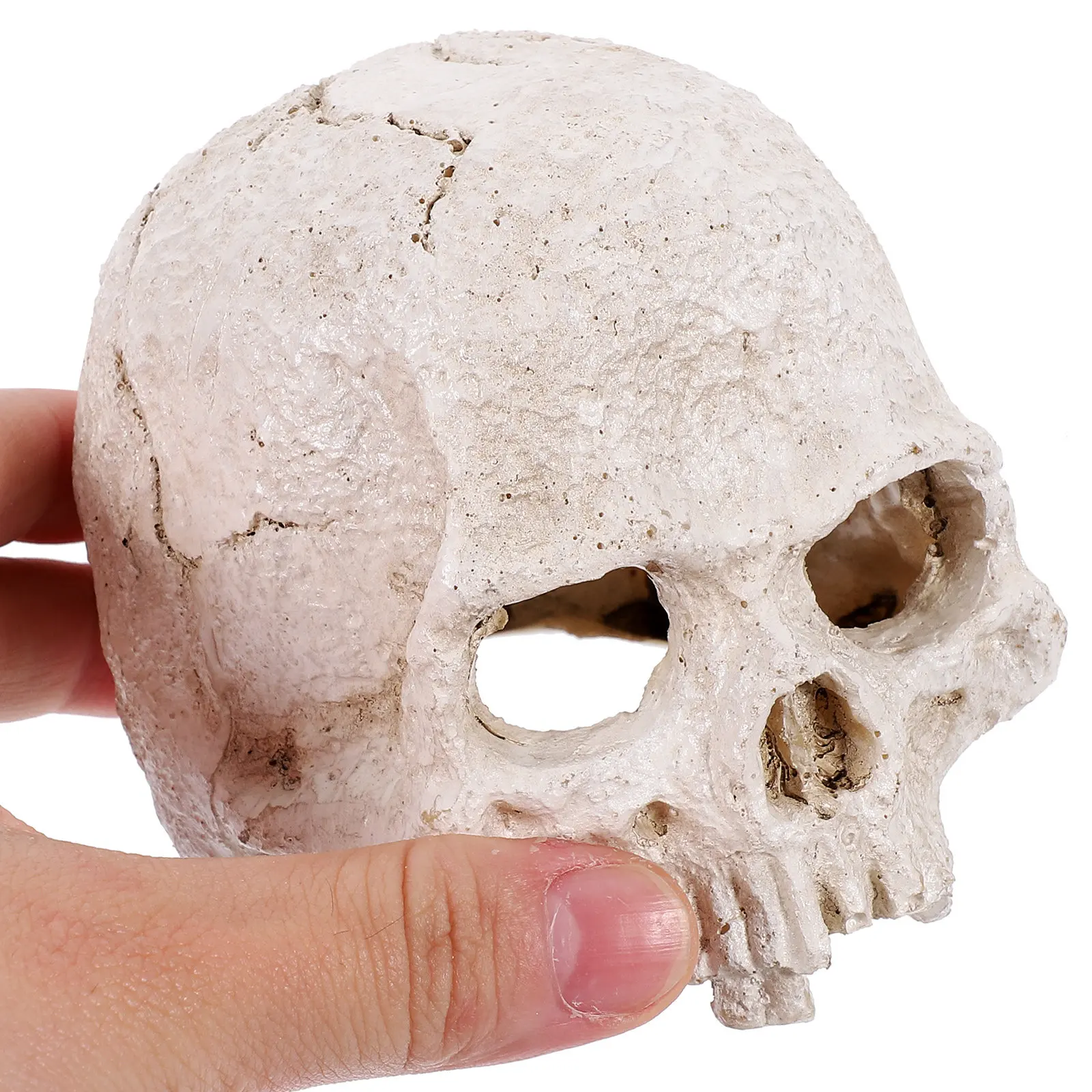 

Искусственный череп человека из смолы, реалистичная имитация головы, декор для Хэллоуина, учебное пособие по анатомии, украшение для дома и офиса