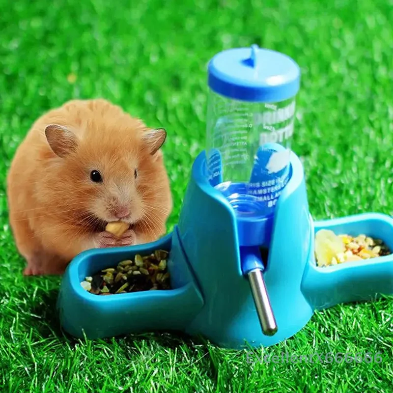 

Essential Hamster Water Bottle, Petite Animal Food Dispenser Accessory, Automated Feeding Device.