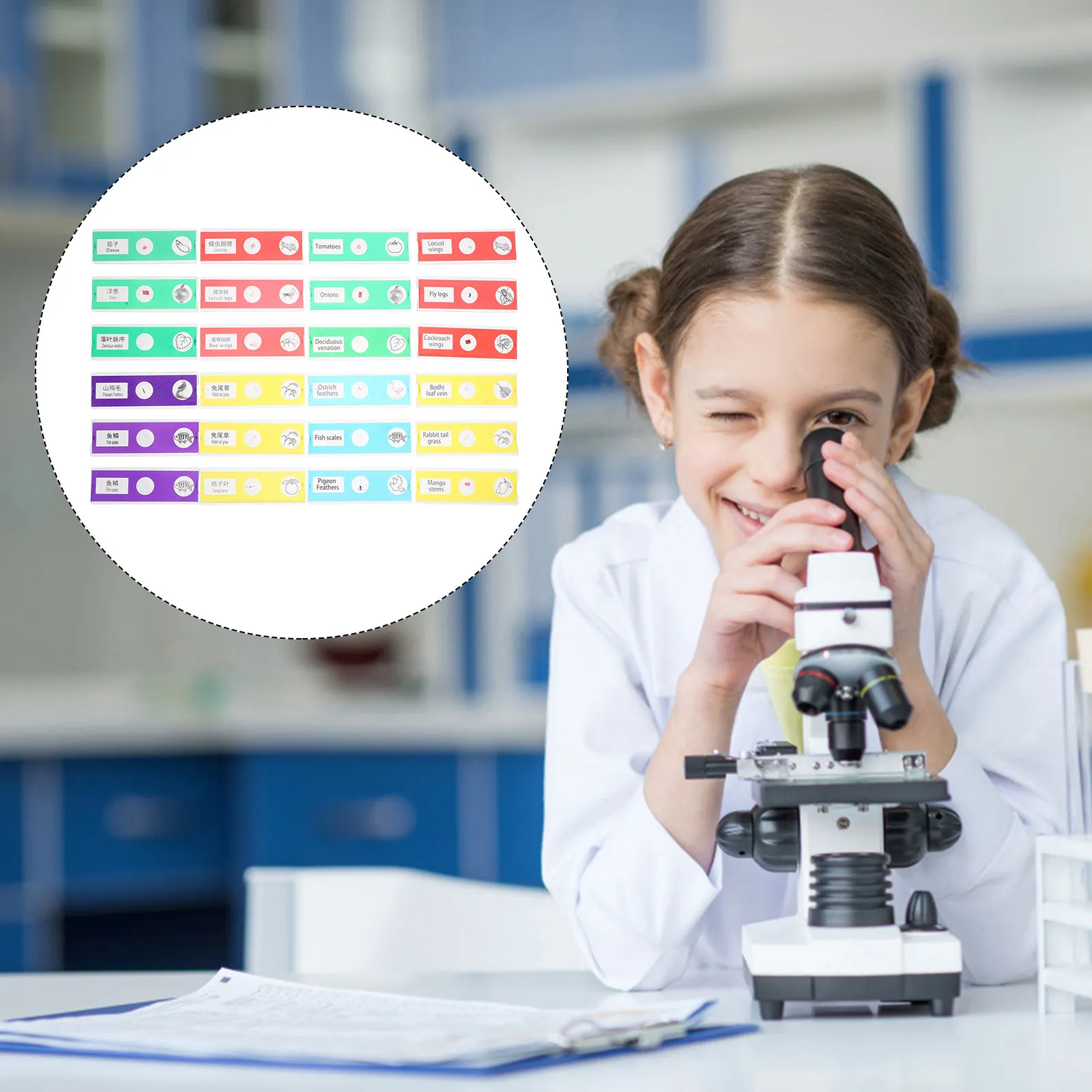 

24Pcs Kids Microscope Slides Set Prepared Insect Plant Flower Specimens Educational Biology Bilingual English